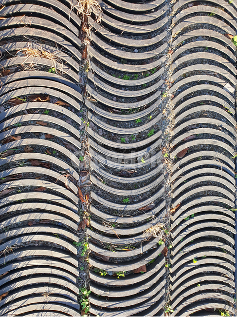 기와,무늬,문양,패턴,pattern,texture,배경,백그라운드,background,outdoors,옥외,질감,재질,텍스처,질감,패턴,texture,pattern