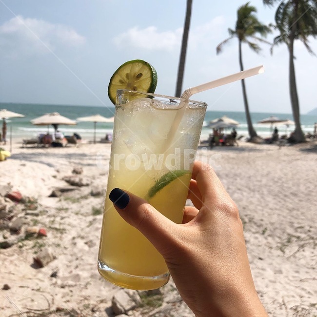 beverage,drink,마실것,cocktail,칵테일,alcohol,알코올,lemonade,레몬에이드,라임주스,쥬스,juice,음료수,drink,beverage