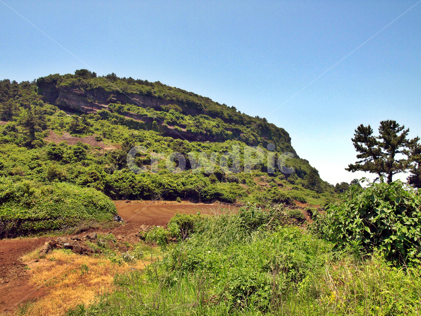 두산봉,오름,제주,올레1코스,자연,들,나무,밭,시흥리,제주도,jeju,jeju island,nature,outdoors,옥외,hill,언덕