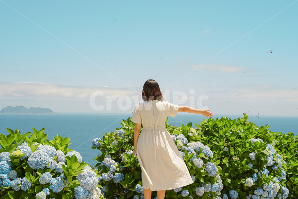 자연,바다,hydrangea,수국,여성,뒷모습,식물,자연,plants,nature,꽃,flower,사람,인물,인간,human,person,여성,여자,woman,female,lady,여행,휴가,traveling,vacation,trip,감성,sensible,feeling,휴식,힐링,rest,relaxation,healing,색깔,색상,색채,색감,color sense,color sensitivity,feeling of color