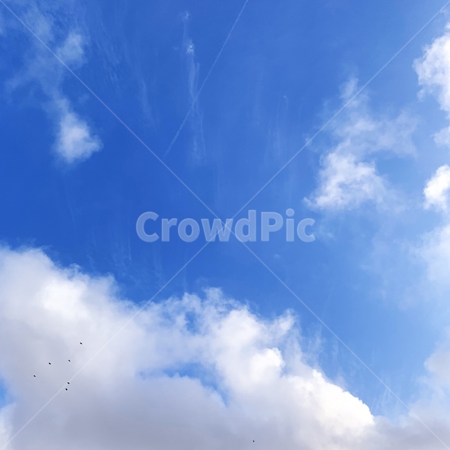 구름,자연,하늘,nature,sky,푸른하늘,자연,풍경,nature,landscape,azure sky,푸른 하늘,outdoors,옥외