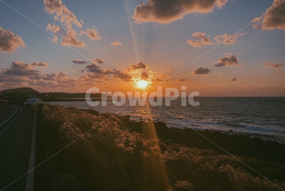 일몰,바다,해안,파도,갈대,제주도,애월,sunlight,햇빛,nature,자연,outdoors,옥외,flare,플레어,light,빛