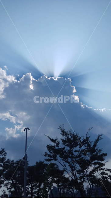 구름,태양,나무,자연,nature,cloud,자연,풍경,nature,landscape,outdoors,옥외