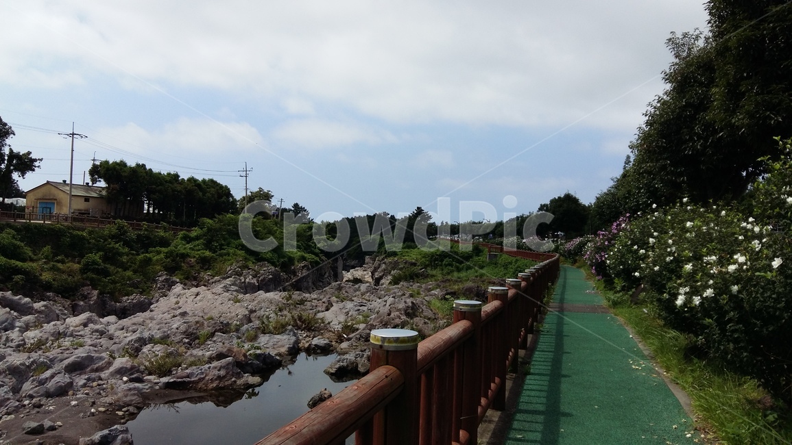 길,도로,산책로,road,자연,jeju,단양,제주도