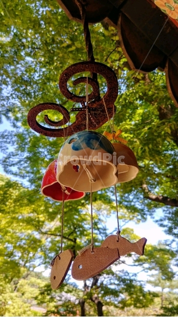 풍경소리,물고기,나무,하늘,절,사물,물건,오브젝트,thing,object,matter