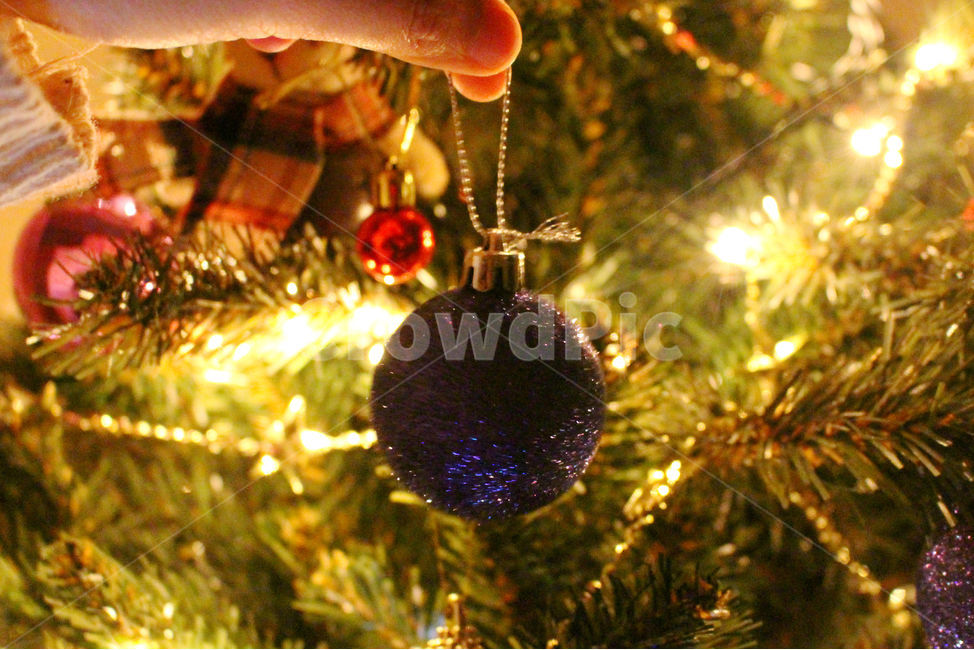 크리스마스,크리스마스트리,크리스마스장식,성탄절,감성사진,christmas,메리크리스마스,빨강,빨간색,초록,초록색,tree,red,green,빛,손,사람,겨울,계절,winter,season,기념일,축하,anniversary,congratulation,celebrate,celebration,메리크리스마스,성탄절,merry christmas