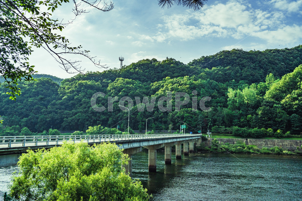 바탕화면,산,풍경,다리,나무,대청호,대전