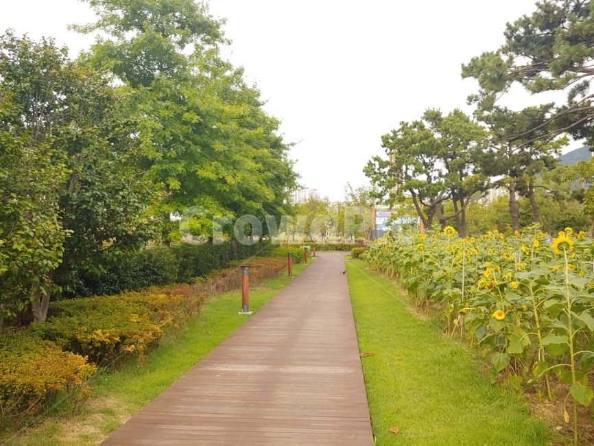 공원,길,식물,나무길,초록,공원길,휴식,휴식지