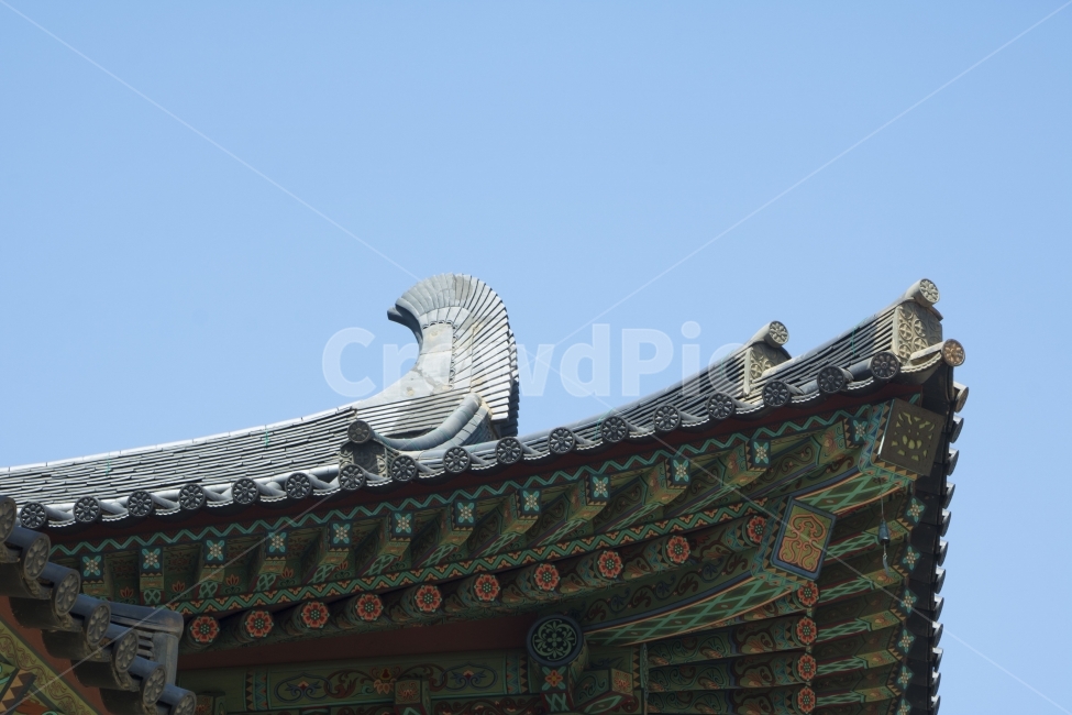 tile,roof,blue sky,traditional house,hanok,photo,single photo,design,source,photo,photo data,background,background photo,landscape,Korea,Joseon,tradition,folk,palace,sky,tile house,architecture,building,architectural style,tile roo