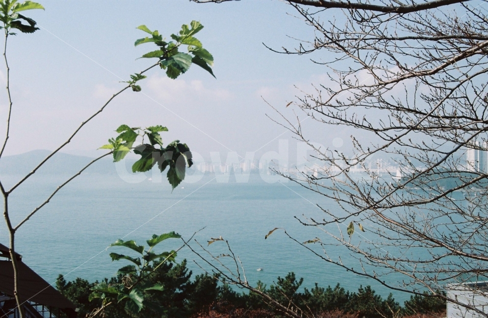 ​바다,자연,하늘,풍경사진,감성사진,우울,landscape,식물,자연,plants,nature,감성,sensible,feeling
