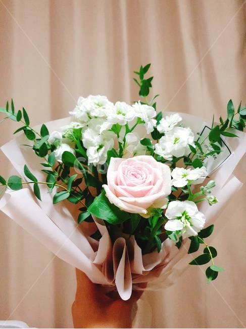 꽃,꽃다발,식물,장미,부케,꽃,flower