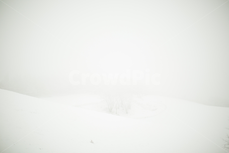 설경,눈,겨울,하얀색,눈꽃,하얀세상,화이트,겨울풍경,대관령,겨울산,snow,winter,white,snowflower,겨울,계절,winter,season,자연,풍경,nature,landscape,감성,sensible,feeling,outdoors,옥외,storm,폭풍,blizzard,눈보라,weather,날씨