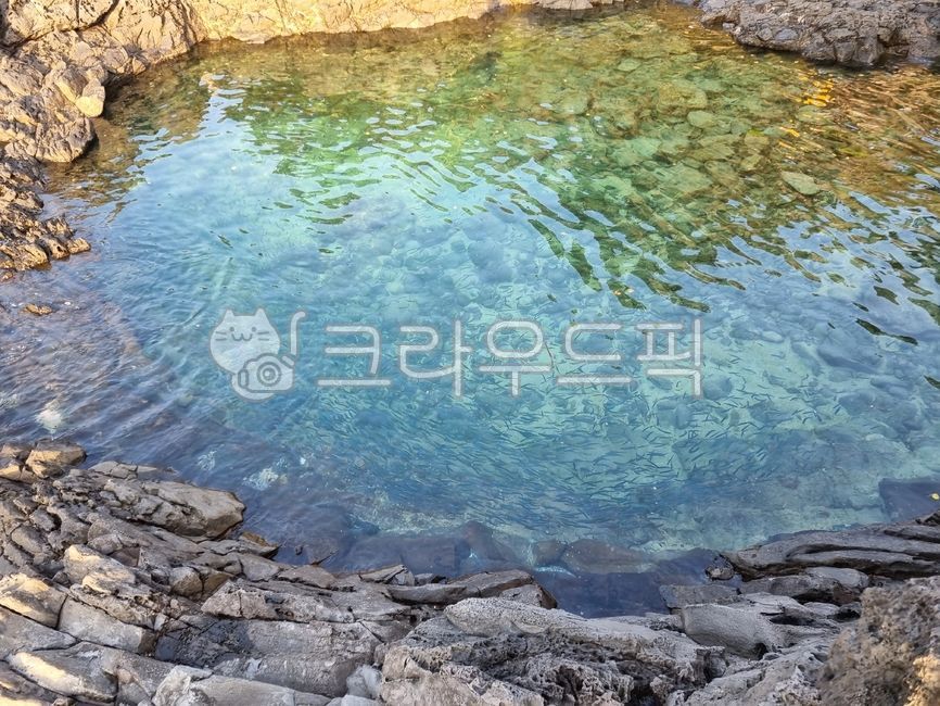 제주도,웅덩이,바다,물고기,돌,물결