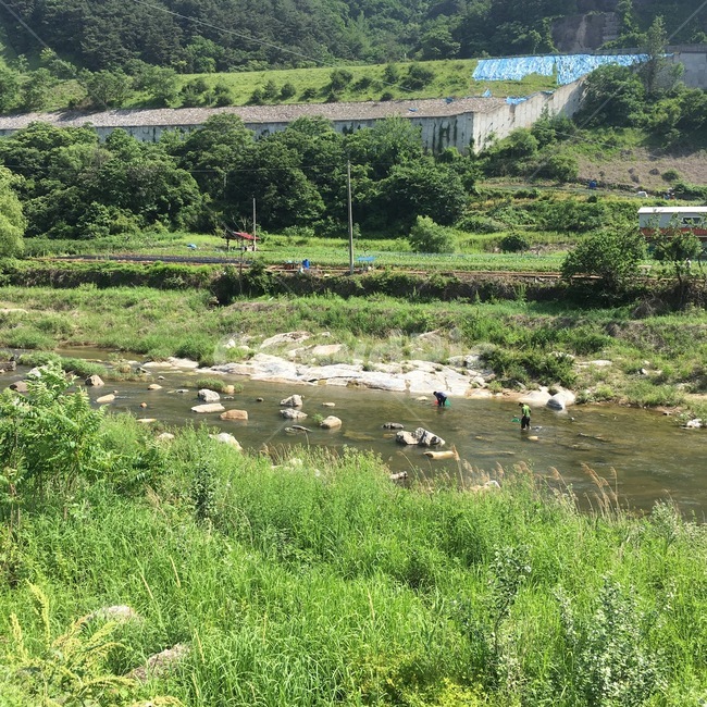 시골,countryside,초록색,여름,낚시,한국,단양,풍경,마을,green,summer,fishing,korea,danyang,village,시골,마을,풍경,landscape,country,rural,town