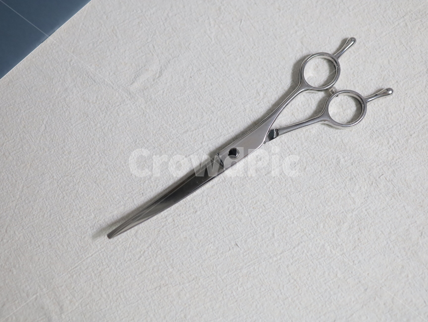 가위,scissors,scissor,애견가위,커브가위,cut,사무용품,스테인레스,스테인리스,강철,stainlesssteel