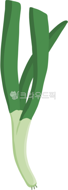 청과물, 대파, 파, 쪽파, 대파김치, 사진,이미지,일러스트,캘리그라피 - 수수작가