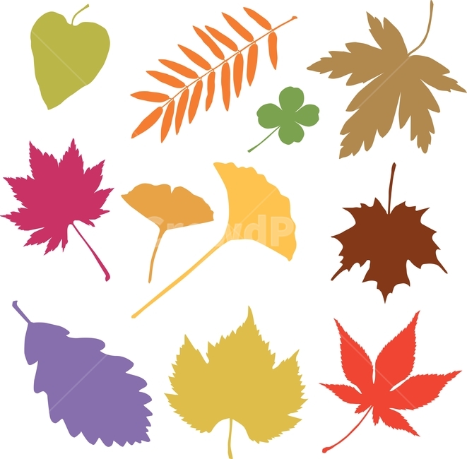 벡터,eps,vector,가을,낙엽,leaves,autumn,fall,season,colorful,가을소스,디자인소스,패턴,pattern,패턴소스,잎새,잎사귀,식물,다양한,various,different,fallenleaves,일러스트레이션,illustration,단풍잎,은행잎,클로버,토끼풀,아카시아잎,떡갈나무,참나무잎,플라타너스,단색,가을분위기,가을소재,시즌,계절,9월,10월,11월,가을,계절,fall,autumn,season,그래픽,일러스트레이션,graphic,illustration,leaf,잎,plant,tree,나무