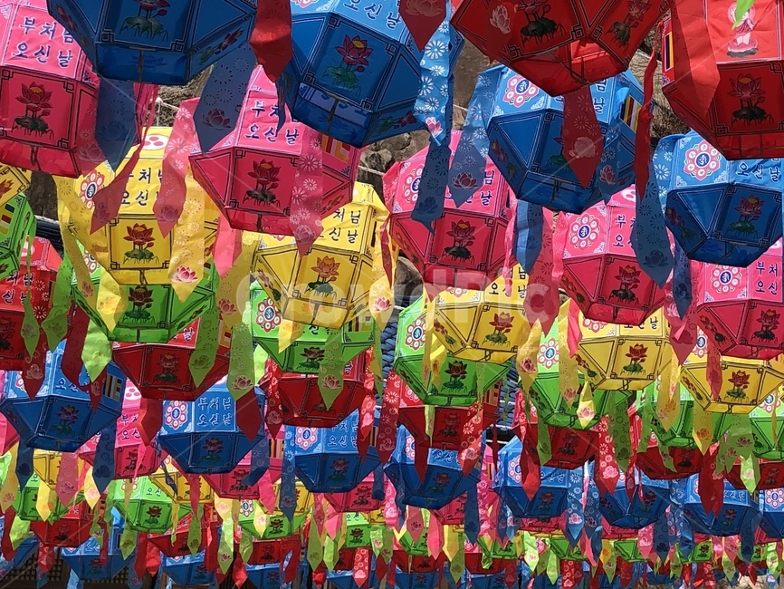 연등,석가탄신일,부처님오신날,종교,행사,풍경,봄,lotus,lantern,buddha,religion,ceremony,spring