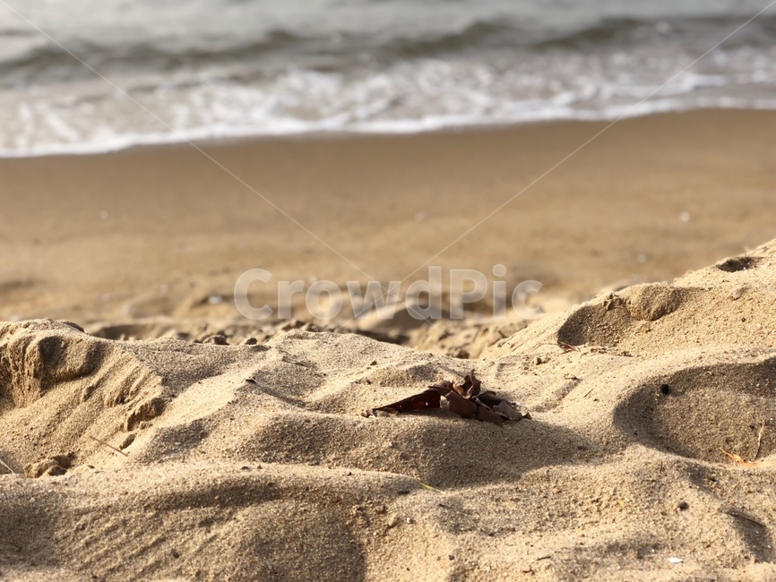 해변,모래,모래사장,해변가,바다,휴가,여름,자연,풍경,nature,landscape,해변,바다,beach,sea