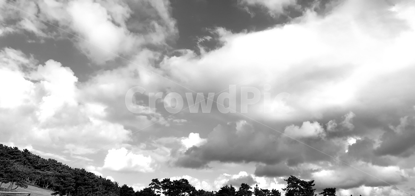 weather,날씨,nature,자연,옥외,outdoors,적운,cumulus,cloud