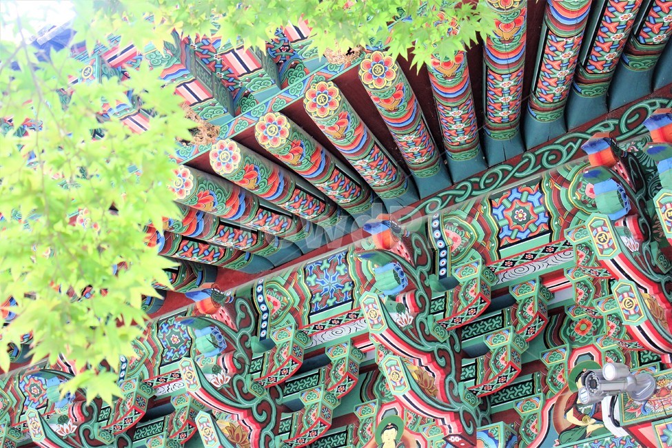 한국전통,사찰,절,단청,기와,누각,koreatraditional,koreapattern,한국전통,한국문화,korean traditional,korean culture,건축물,건물외관,exterior,building,structure,architecture,construction