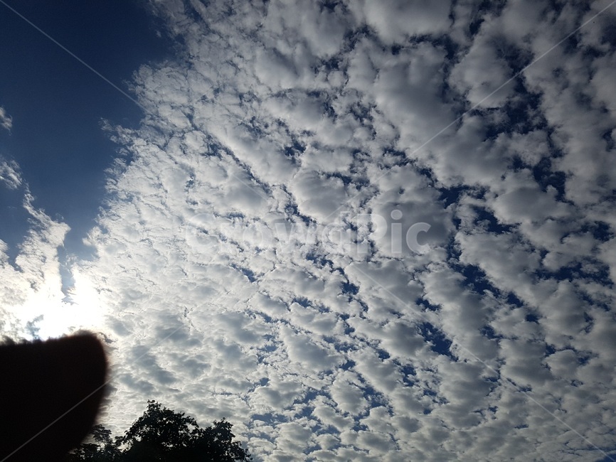 하늘,구름,cloud,뭉게구름,sky
