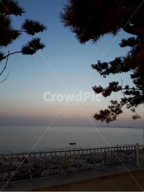 새벽,해돋이,바다,안개,겨울바다