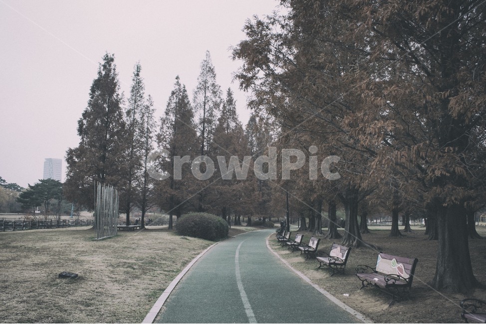 공원,길,벤치,나무,도로,bench,산책,park,tree,road