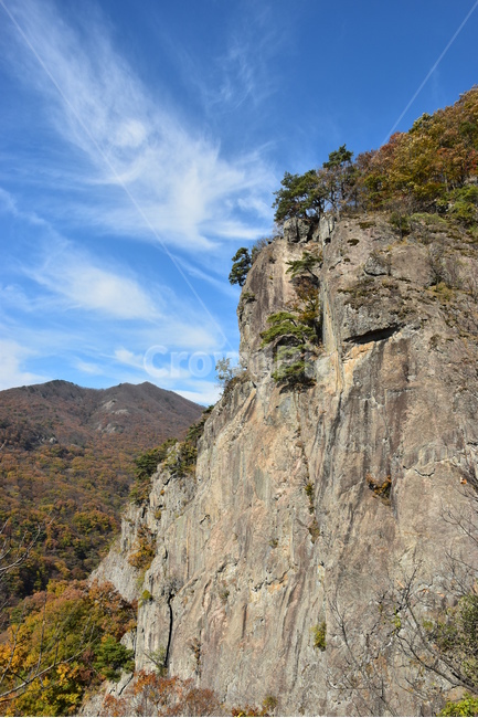 자연,풍경,단풍,계절,가을,잎,붉은,노란,낙엽,나무,백암산,fall,autumn,season,nature,landscape,한국자연풍경,한국자연경관,korea,tree,maple,leaf,가을,계절,fall,autumn,season,자연,풍경,nature,landscape,outdoors,옥외,cliff,낭떠러지