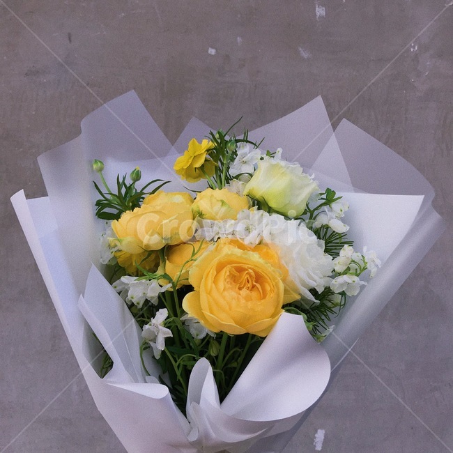 노란장미,식물,plant,꽃다발,노란꽃,꽃,flower