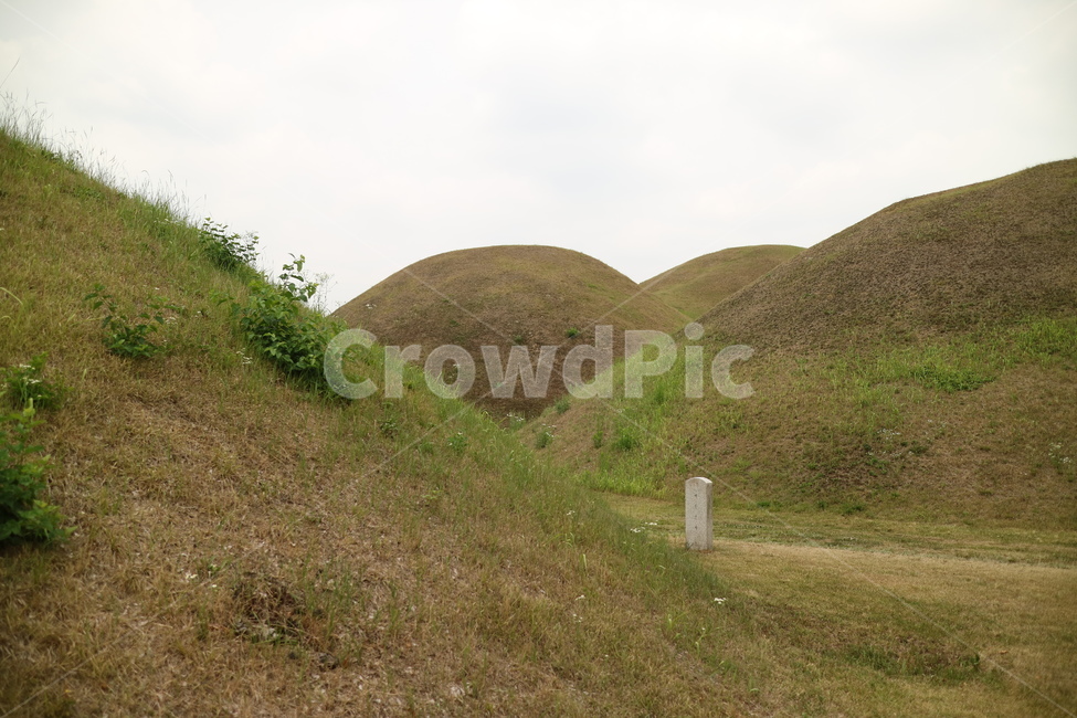 대릉원,경주,경주풍경,경주볼거리,grassland,목초지,outdoors,옥외,field,들