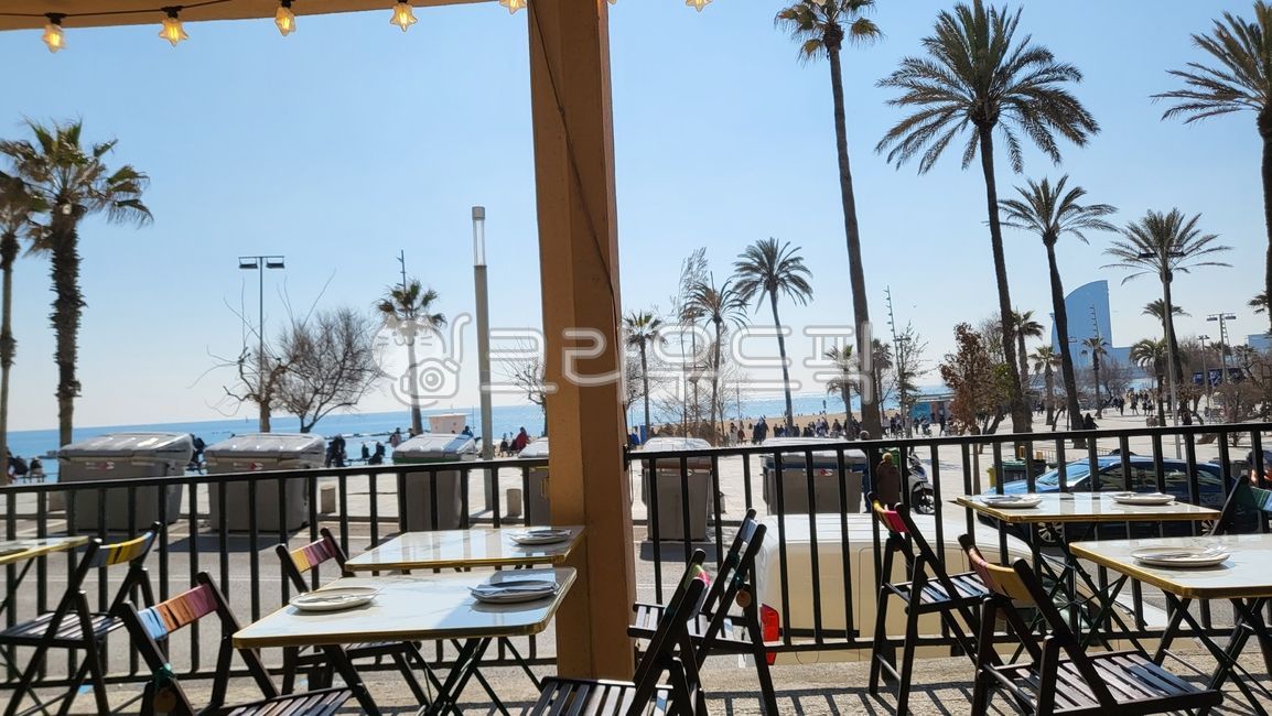 바르셀로네타,비르셀로네테,스페인,바르셀로나,해변,해안가