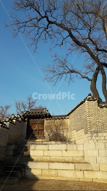 창덕궁,하늘,나무,계단,문,한국전통,한국문화,korean traditional,korean culture,건축물,건물외관,exterior,building,structure,architecture,construction