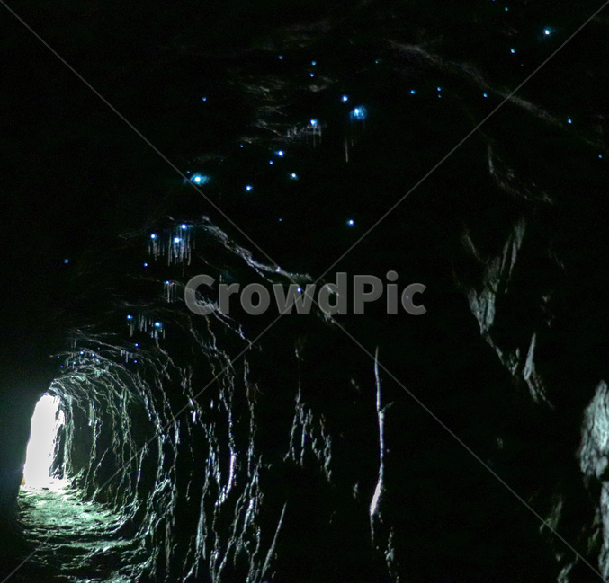 동굴,글로우웜,glowworm,은하수,동굴은하수,nightphoto
