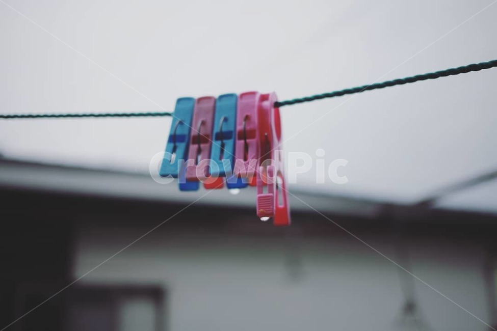 빨래집게,빨래,비오는날,빨래줄,집게,사물,물건,오브젝트,thing,object,matter