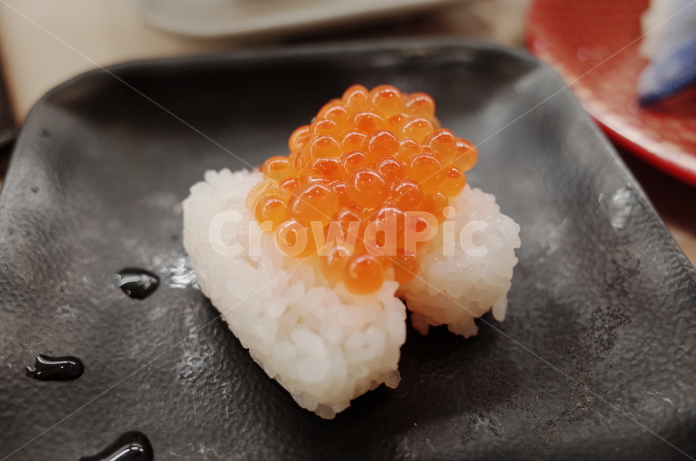 일본,음식,일본음식,초밥,스시,음식,식재료,요리,food,cook,meal,dishes,food reserves,일식,일본음식,일본요리,Japanese food,Japanese dishes,Japanese meal,Japanese cook