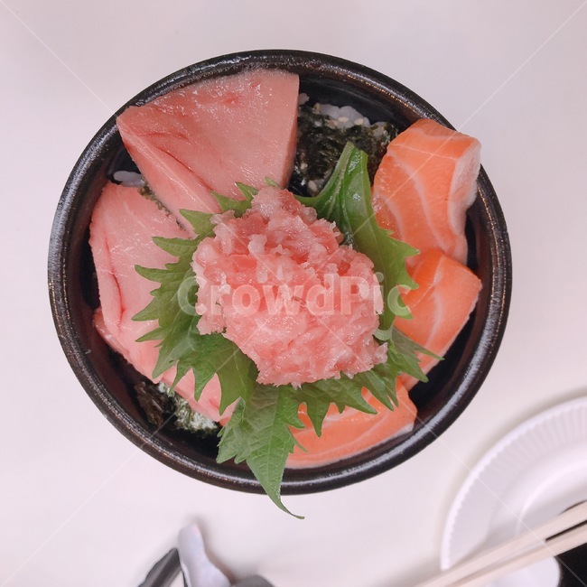참치,참치회,마구로,플레이팅,회,일식,맛집,음식,뱃살,대뱃살,중뱃살,아카미,주도로,오도로,참다랑어,연어,덮밥,동,마구로동,돈,마구로돈