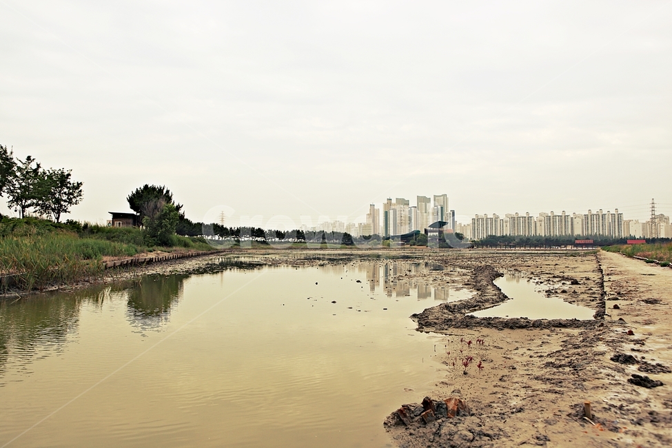 염전,소래생태공원,소금밭,바다물,풍경