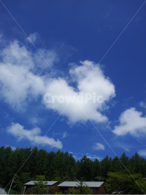 하트,구름,하늘,sky,cloud,나무,뭉게뭉게,love,자연,풍경,nature,landscape,outdoors,옥외