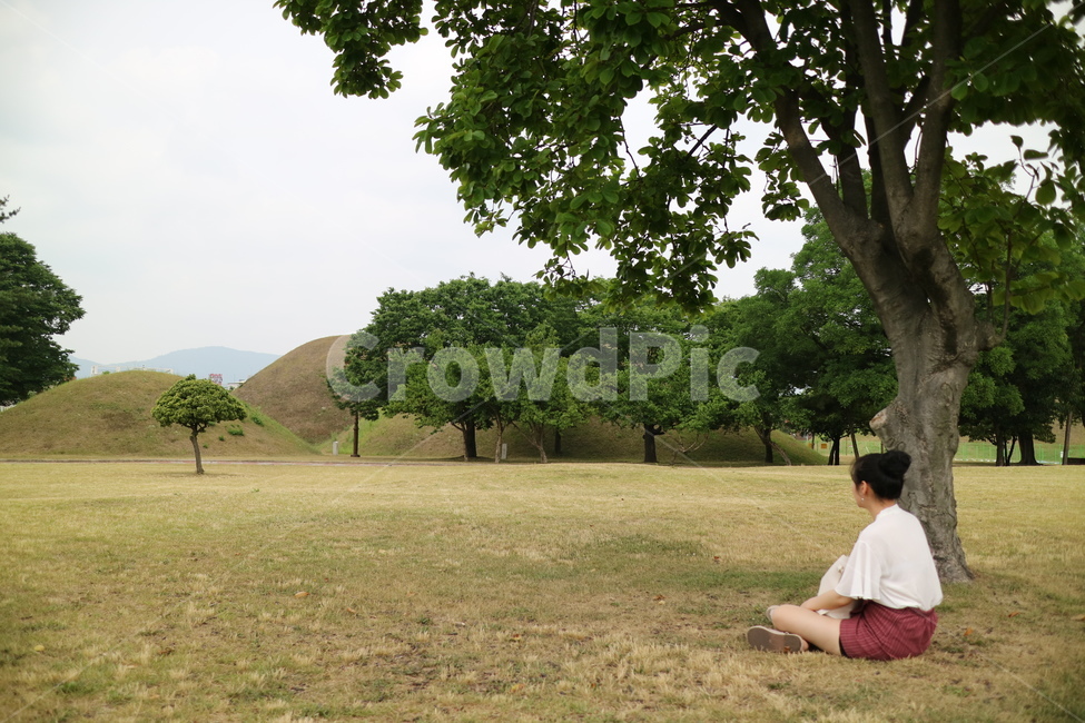 대릉원,여자혼자,실루엣,뒷모습,경주,경주풍경,person,사람,human,인간,outdoors,옥외,tree,나무,plant,식물,grassland,목초지,field,들,grass,잔디,여행,휴가,traveling,vacation,trip