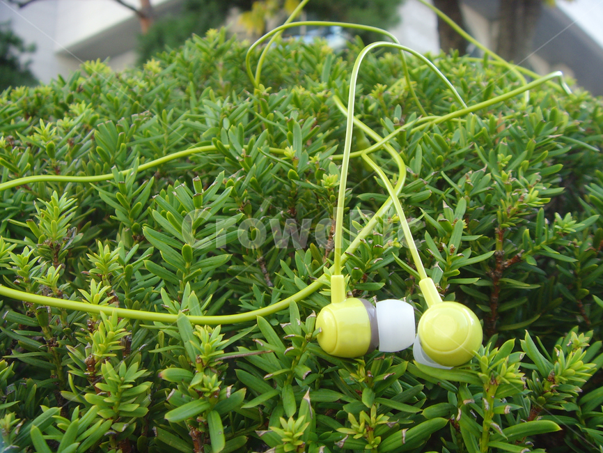 이어폰,음악,노래,친화적,music,plant,식물,화분