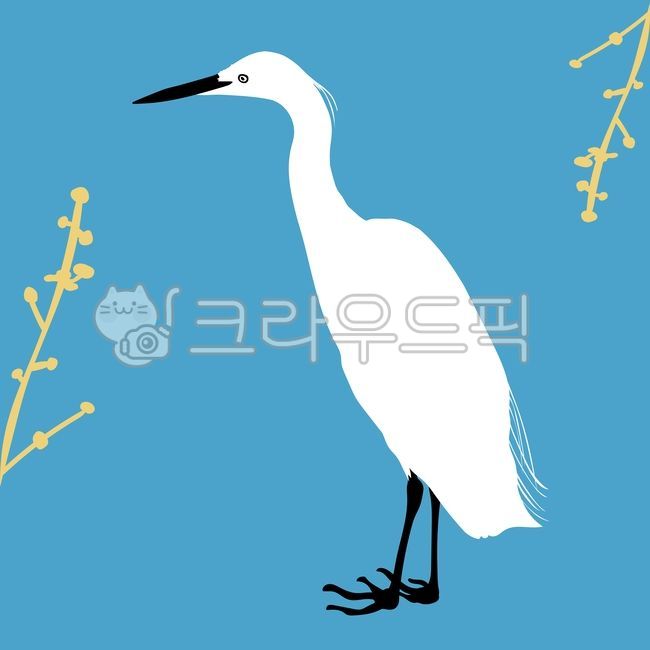 새,백로,동물,자연,날개,철새,부리,깃털,천연기념물,힐링,환경