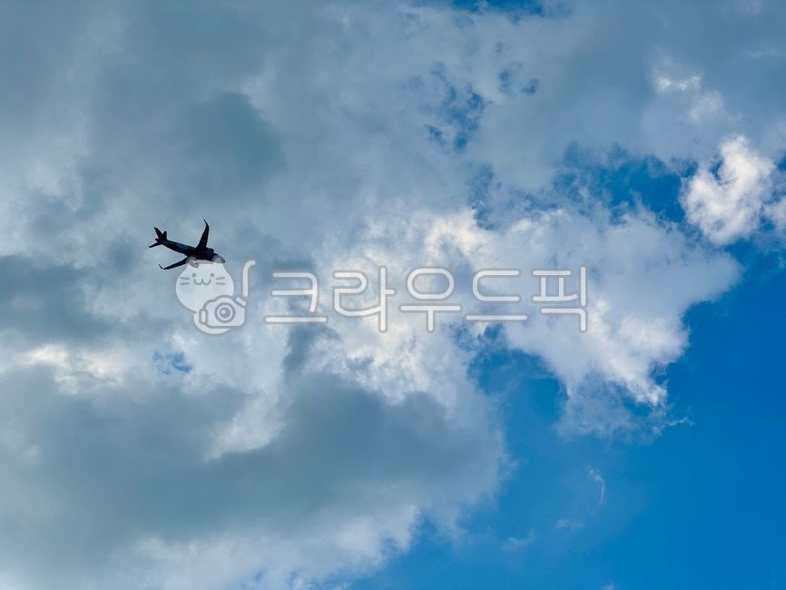 비행기,여객기,항공기,airplane,비행,하늘,sky,flight