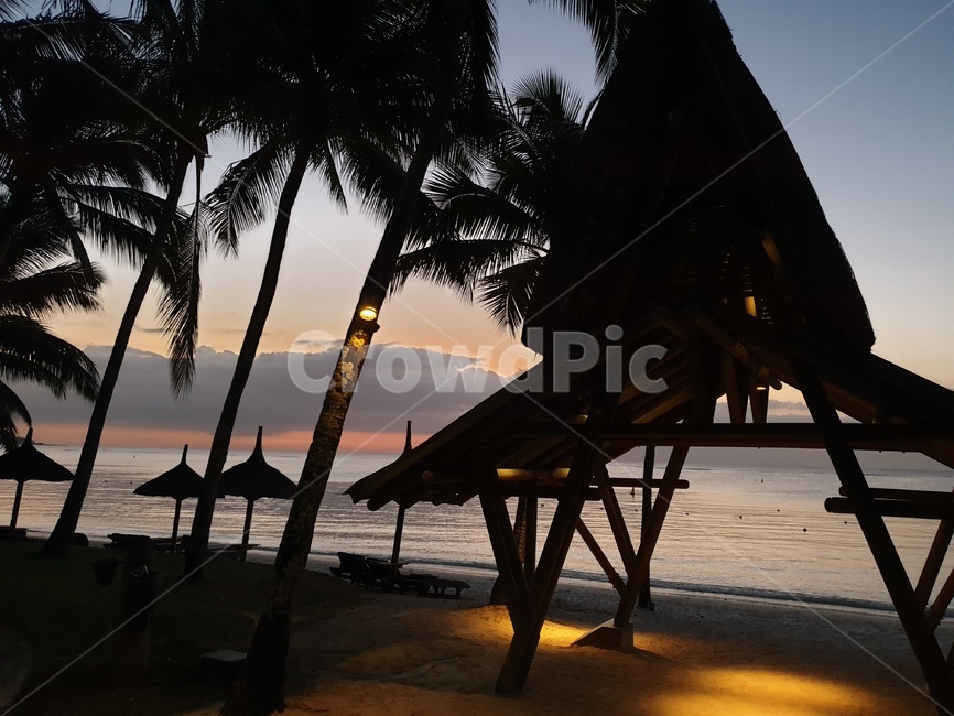 summer,여름,tree,나무,노을,해변,beach,theseaside,sea,바다,sunset,tropical