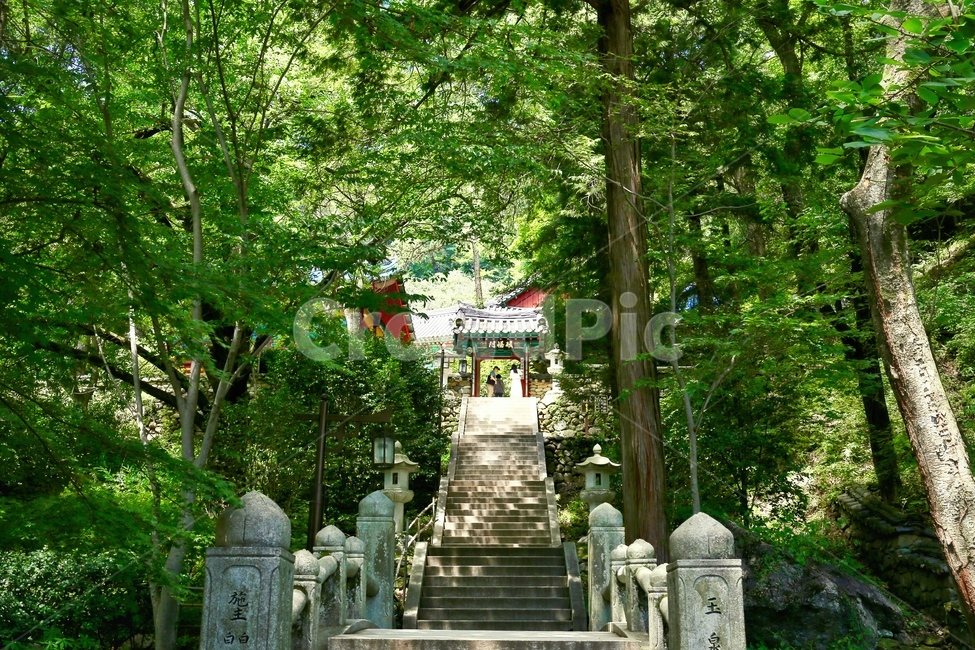 쌍계사,지리산국립공원,절,사찰,대웅전