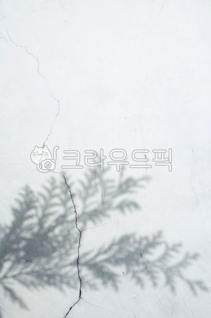 blank,shadow,pattern,blur,branch,leaves,Archaic,shape,reflection,wallpaper,texture,copyspace,retro,abstract,blank space,leaf,marble,material,background,plant,silhouette,wall,landscape,conifer