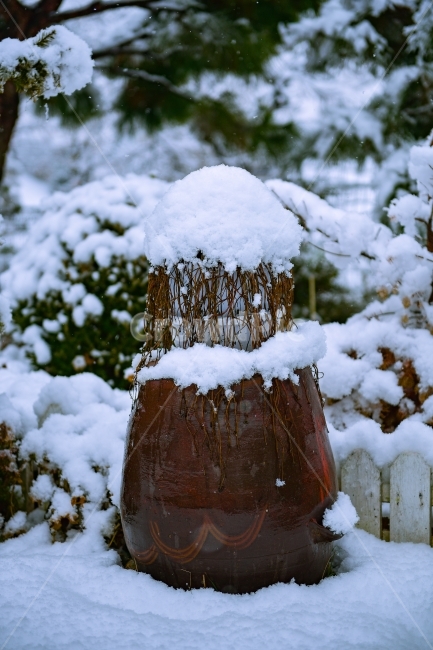 스냅,항아리,폭설,풍경,눈,겨울,계절,winter,season,한국전통,한국문화,korean traditional,korean culture,사물,물건,오브젝트,thing,object,matter