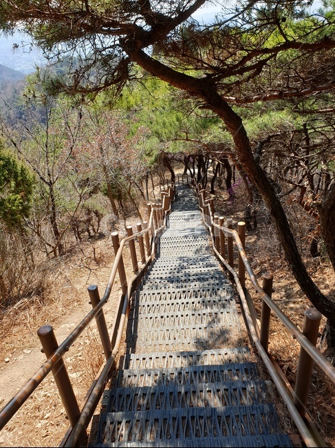 산,산책로,등산로,뒷산,치유
