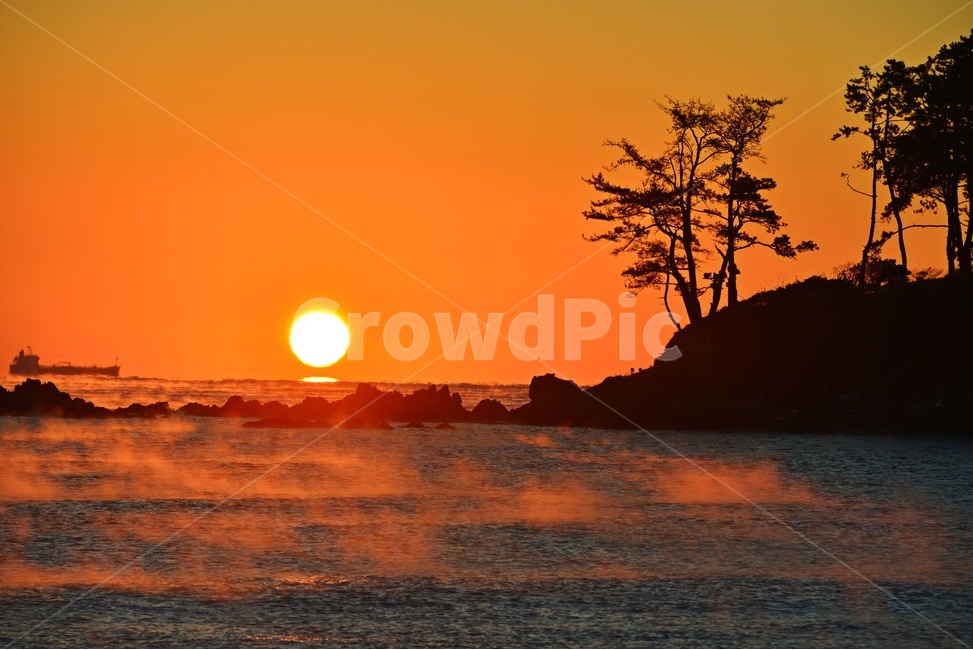 nature,자연,outdoors,옥외,sky,하늘,dawn,새벽,redsky,붉은하늘,sunlight,햇빛,울산,울주,명선도,강양항,명선도아침,일출,해돋이,여명,소나무,경치,경관,풍경,물안개,자연,풍경,nature,landscape
