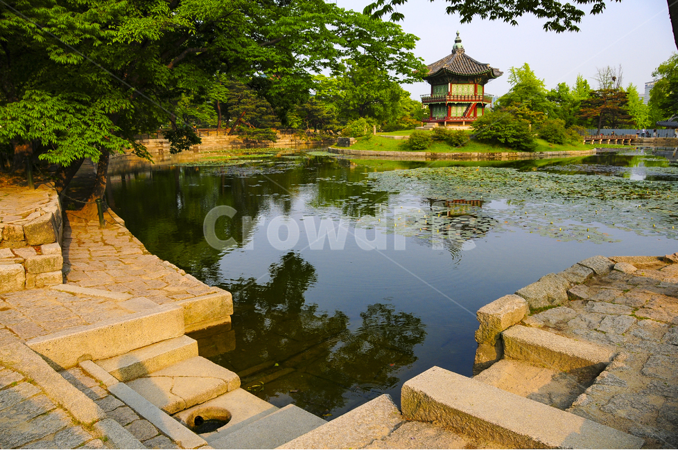 향원정,경복궁,연못,궁,궁궐,정자,한국전통,한국문화,korean traditional,korean culture,랜드마크,landmark,tourist attraction,한국랜드마크,한국관광지,한국명소,korea landmark,korea tourist attraction